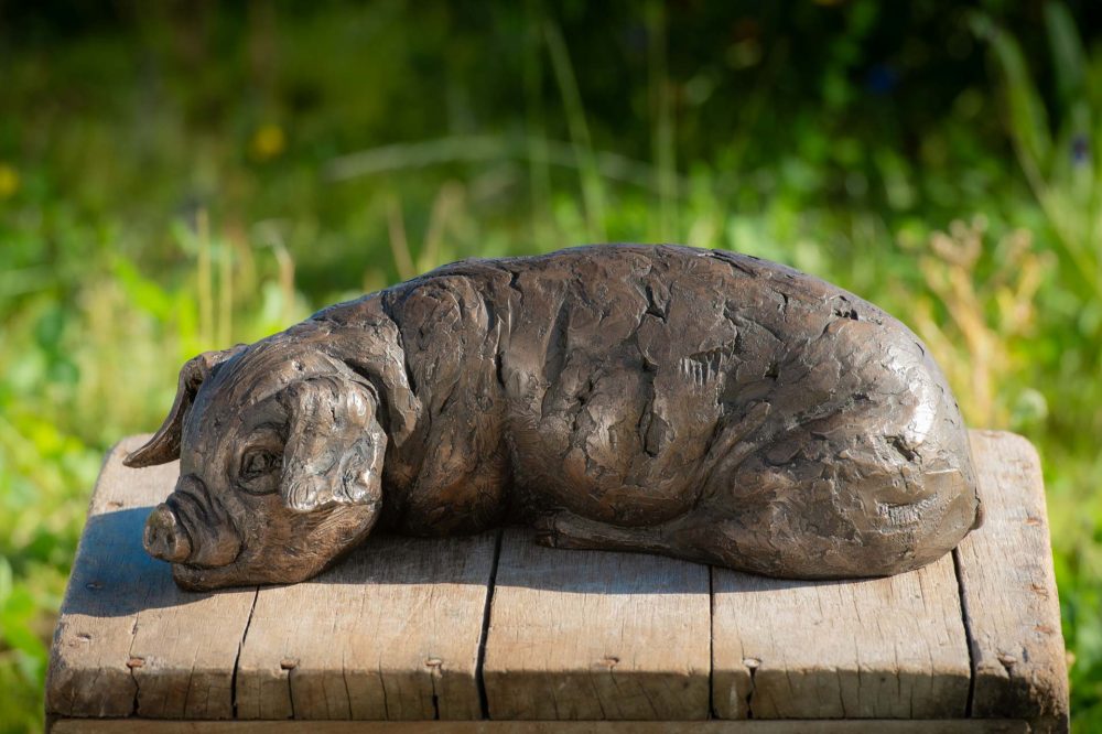 4 'Lying Piglet', Piglet Sculpture, Bronze Piglet, Bronze Resin, Tanya Russell Animal Sculptures (9 of 9)