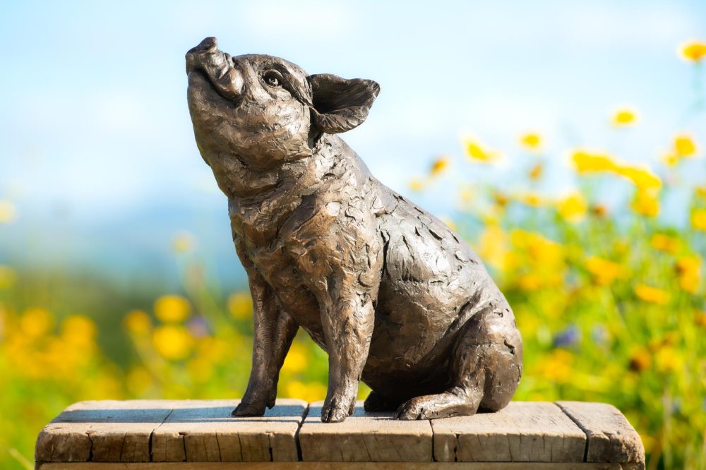 4 'Sitting Piglet', Piglet Sculpture, Bronze Fawn, Foundry Bronze Resin, Tanya Russell Animal Sculptures (9 of 12)