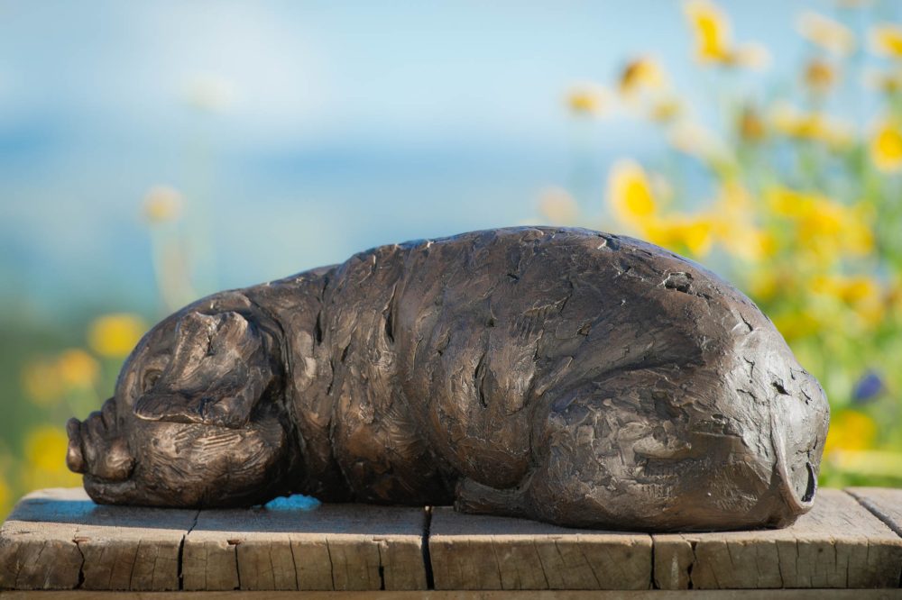 5 'Lying Piglet', Piglet Sculpture, Bronze Piglet, Bronze Resin, Tanya Russell Animal Sculptures (8 of 9)