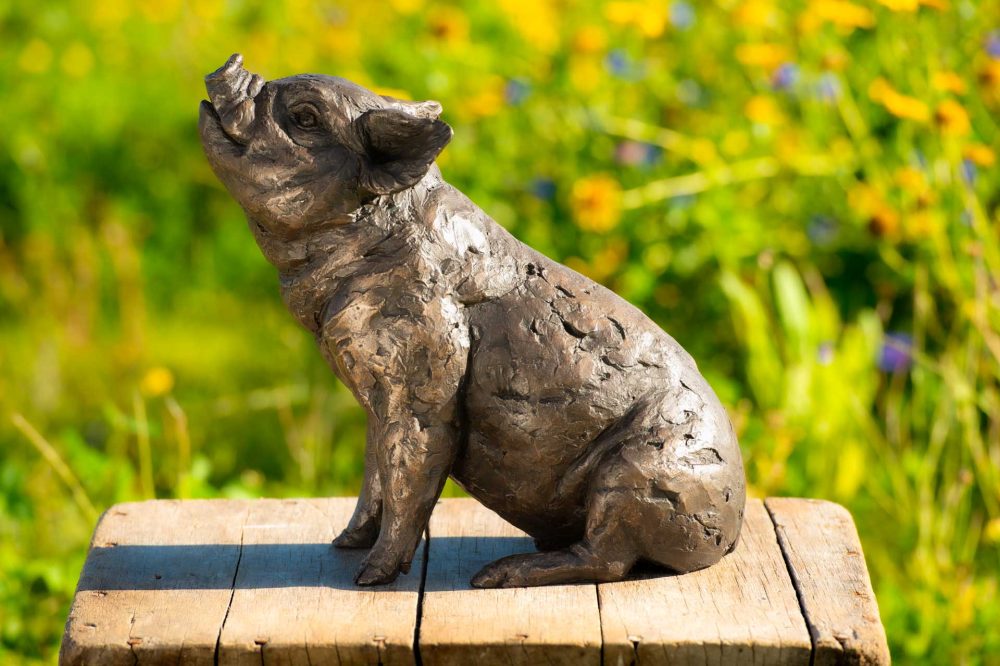 5 'Sitting Piglet', Piglet Sculpture, Bronze Fawn, Foundry Bronze Resin, Tanya Russell Animal Sculptures (11 of 12)