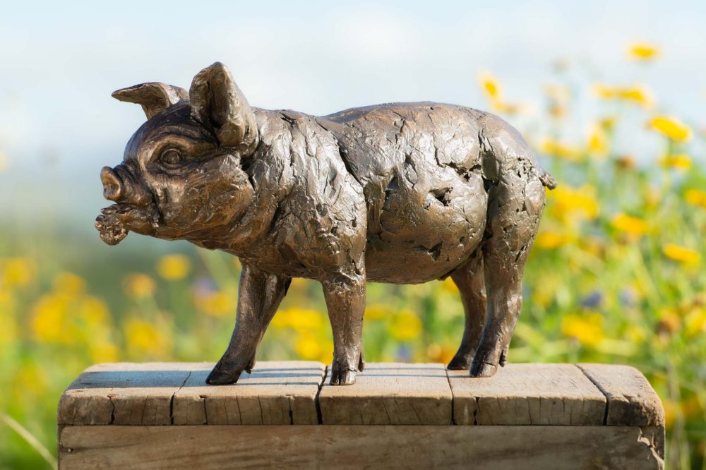 5 'Standing Piglet', Piglet Sculpture, Piglet Statue, Bronze Resin, Tanya Russell Animal Sculptures (5 of 10)