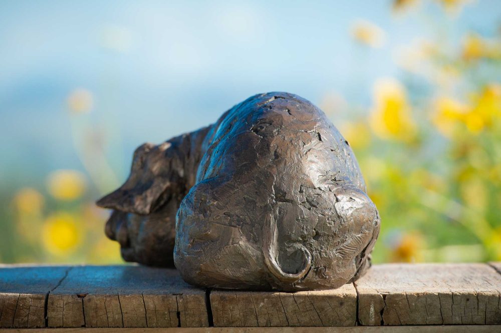 6 'Lying Piglet', Piglet Sculpture, Bronze Piglet, Bronze Resin, Tanya Russell Animal Sculptures (7 of 9)