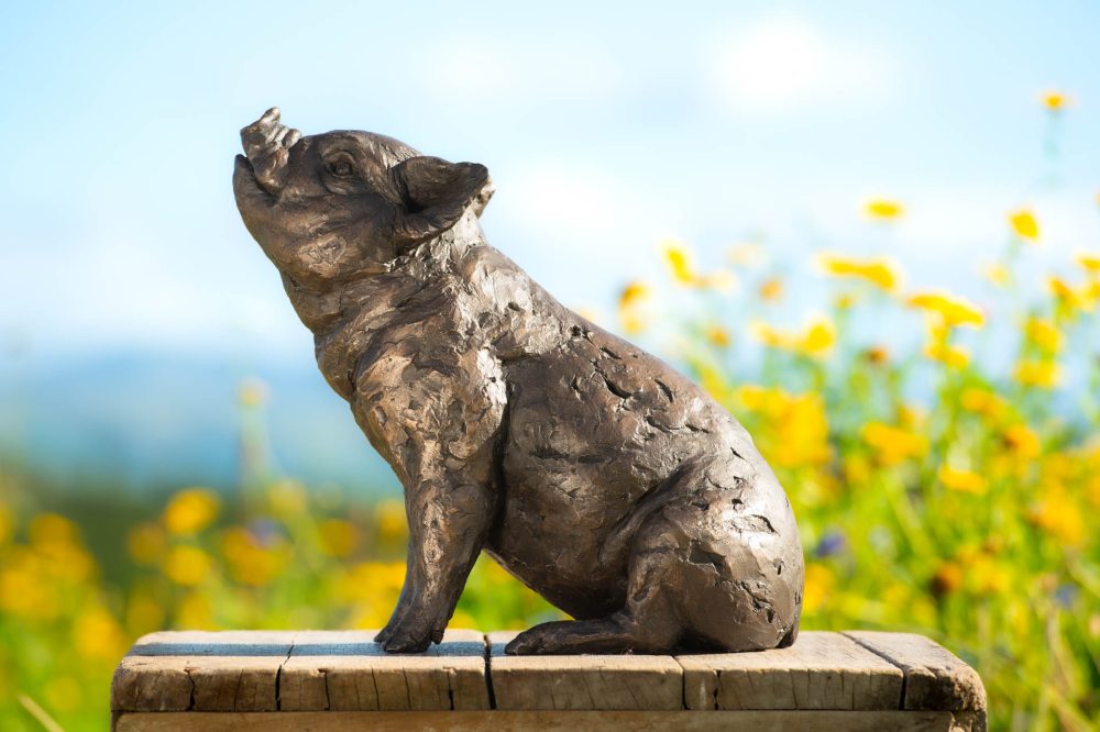 6 'Sitting Piglet', Piglet Sculpture, Bronze Fawn, Foundry Bronze Resin, Tanya Russell Animal Sculptures (1 of 12)