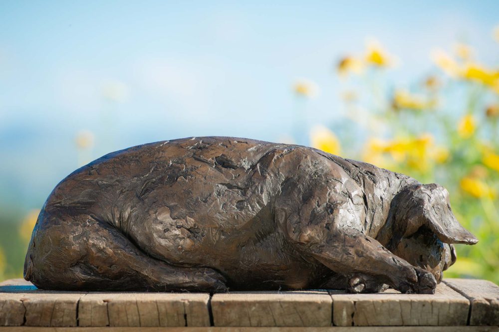 7 'Lying Piglet', Piglet Sculpture, Bronze Piglet, Bronze Resin, Tanya Russell Animal Sculptures (6 of 9)