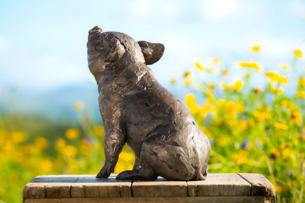 7 'Sitting Piglet', Piglet Sculpture, Bronze Fawn, Foundry Bronze Resin, Tanya Russell Animal Sculptures (2 of 12)