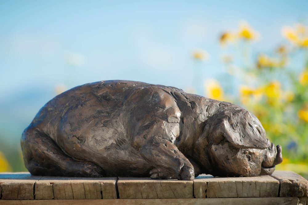 8 'Lying Piglet', Piglet Sculpture, Bronze Piglet, Bronze Resin, Tanya Russell Animal Sculptures (5 of 9)