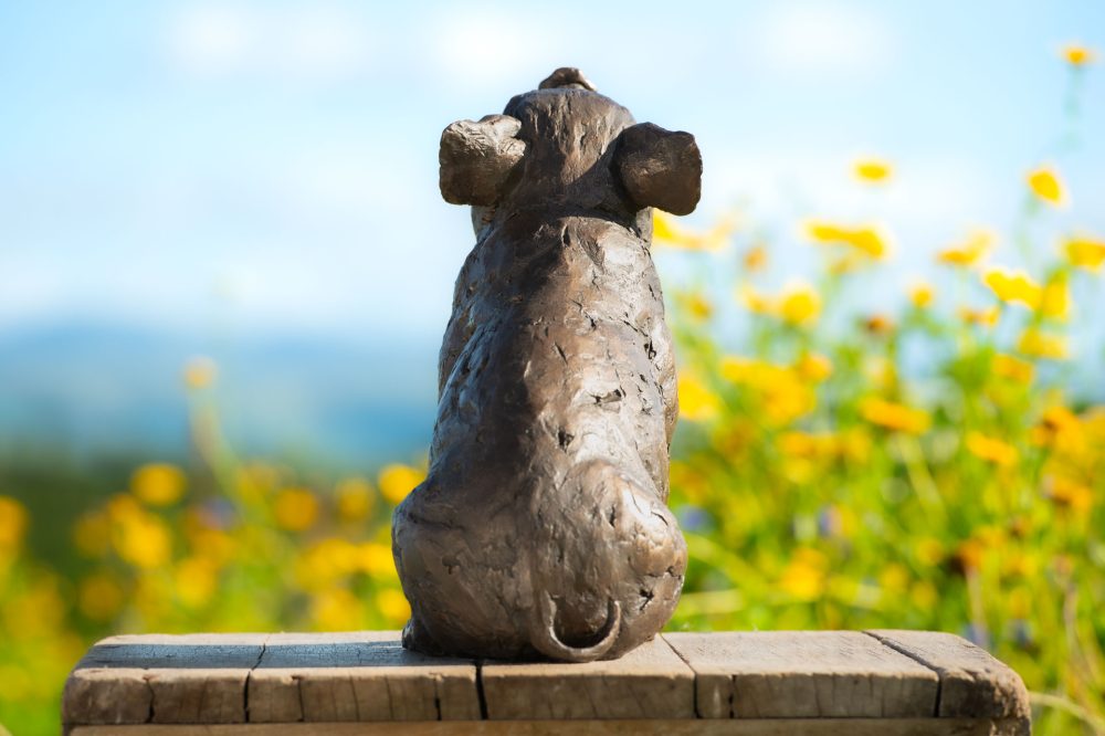 8 'Sitting Piglet', Piglet Sculpture, Bronze Fawn, Foundry Bronze Resin, Tanya Russell Animal Sculptures (3 of 12)