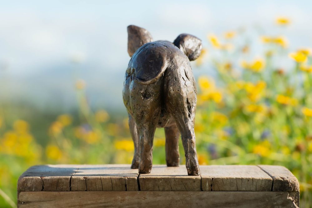 8 'Standing Piglet', Piglet Sculpture, Piglet Statue, Bronze Resin, Tanya Russell Animal Sculptures (8 of 10)