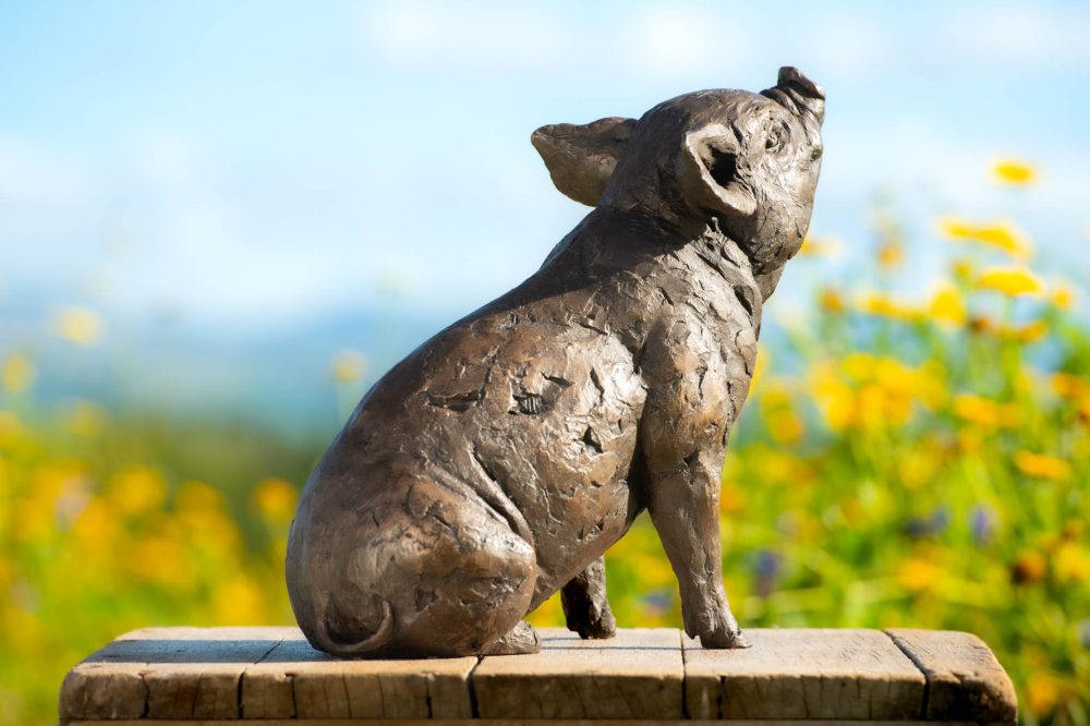 9 'Sitting Piglet', Piglet Sculpture, Bronze Fawn, Foundry Bronze Resin, Tanya Russell Animal Sculptures (4 of 12)