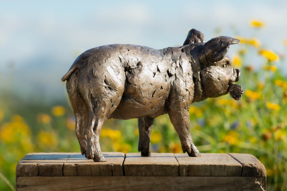 9 'Standing Piglet', Piglet Sculpture, Piglet Statue, Bronze Resin, Tanya Russell Animal Sculptures (9 of 10)