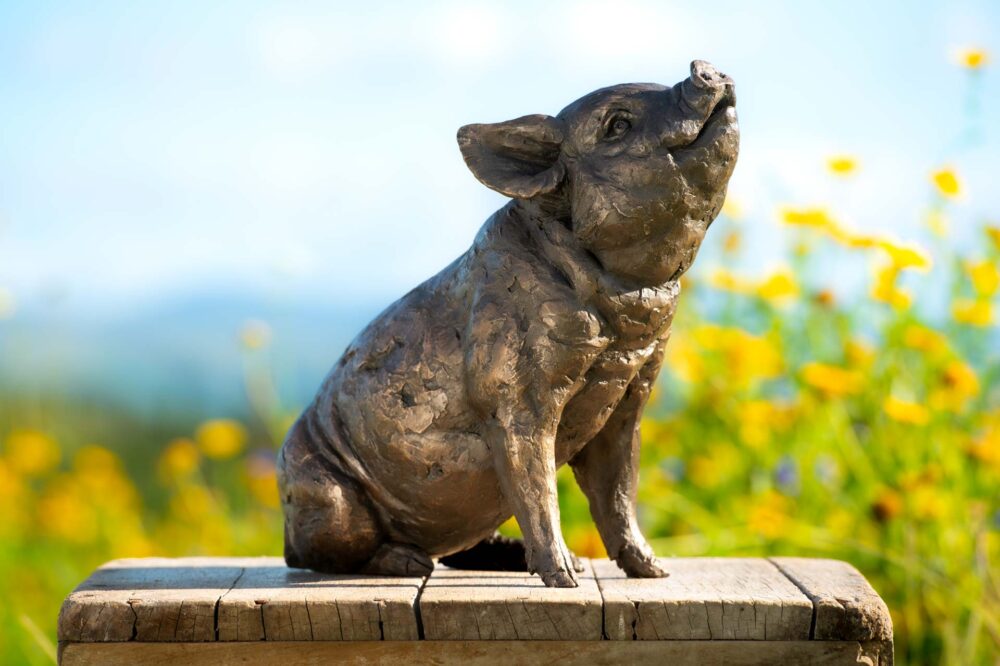 'Sitting Piglet', Piglet Sculpture, Bronze Fawn, Foundry Bronze Resin, Tanya Russell Animal Sculptures (7 of 12)