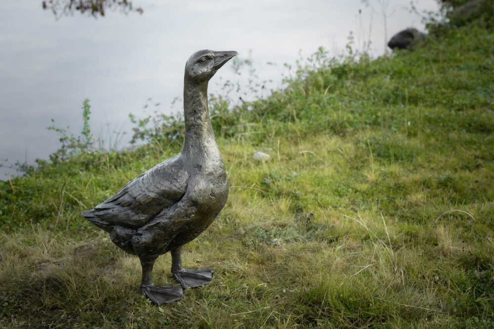 1 'Standing Goose 'Gladstone', Bronze Dog, Dog Sculpture, Dog Statue, Bronze Resin, Tanya Russell Sculptures-24