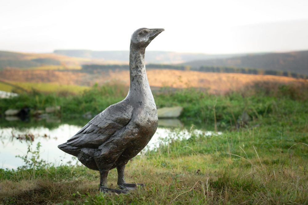 2 'Standing Goose 'Gladstone', Bronze Dog, Dog Sculpture, Dog Statue, Bronze Resin, Tanya Russell Sculptures-21