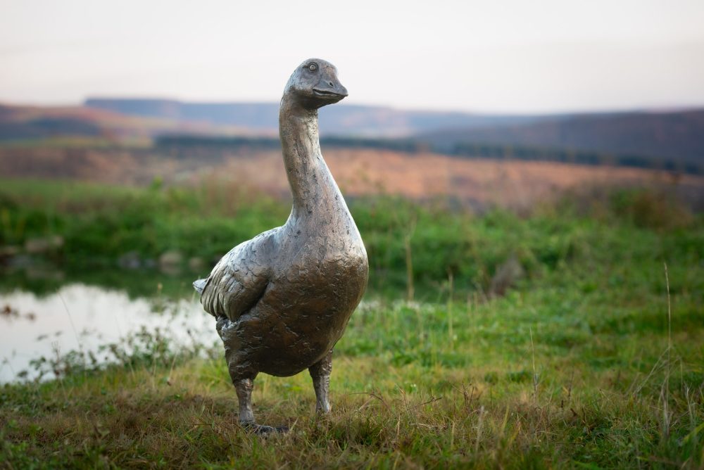 2 'Standing Goose 'Grace', Bronze Goose, Goose Sculpture, Goose Statue, Bronze Resin, Tanya Russell Sculptures-13