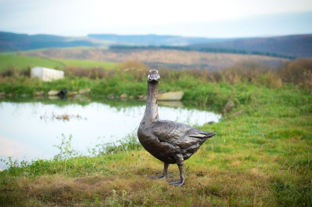 2 'Standing Goose 'Grace', Bronze Goose, Goose Sculpture, Goose Statue, Bronze Resin, Tanya Russell Sculptures-15