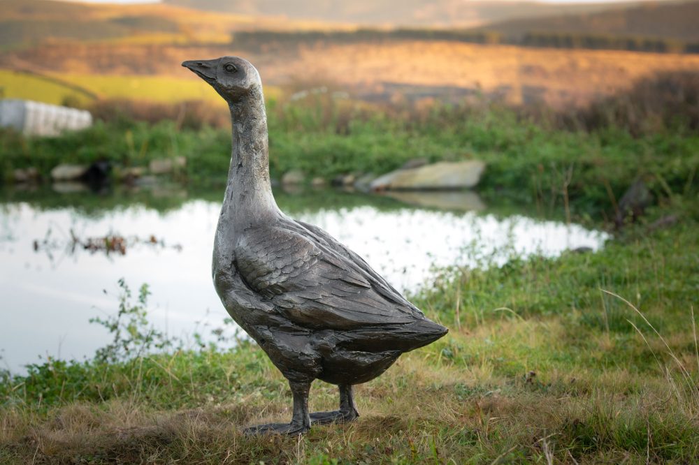 5 'Standing Goose 'Gladstone', Bronze Dog, Dog Sculpture, Dog Statue, Bronze Resin, Tanya Russell Sculptures-16