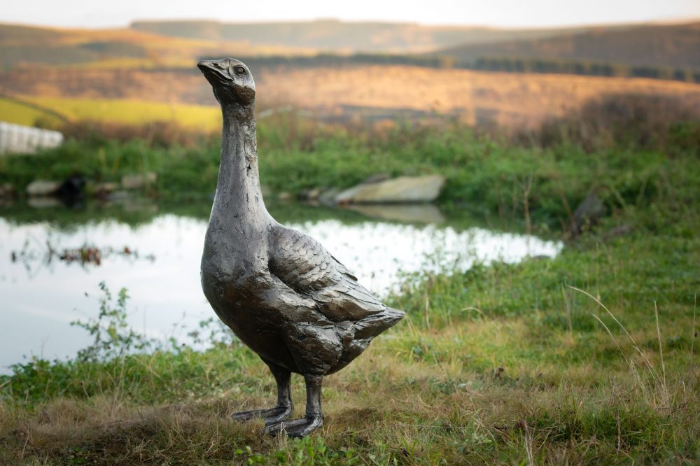 6 'Standing Goose 'Gladstone', Bronze Dog, Dog Sculpture, Dog Statue, Bronze Resin, Tanya Russell Sculptures-15