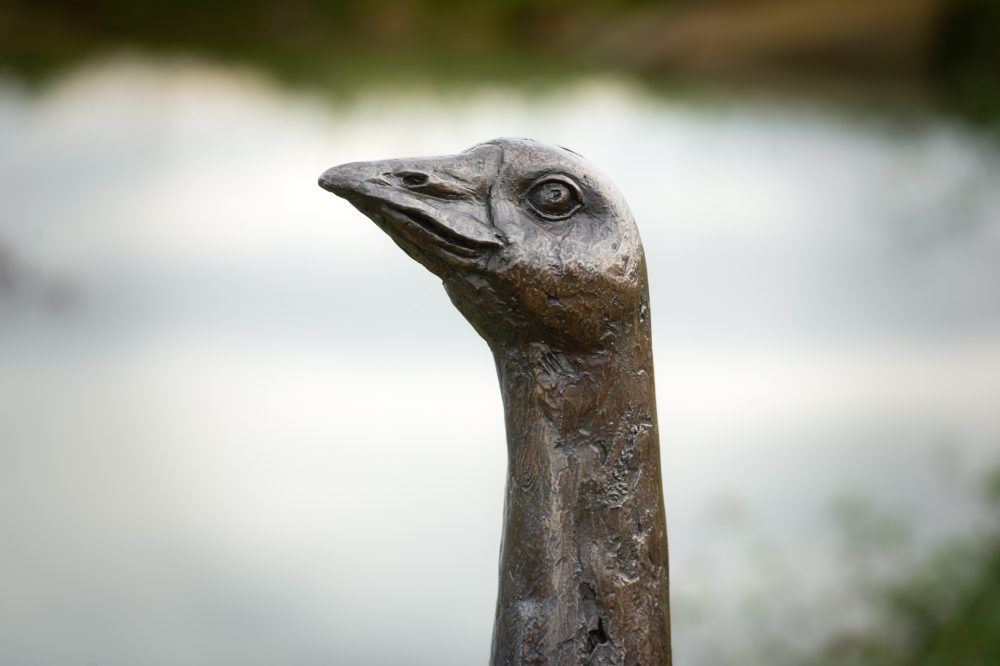 7 'Standing Goose 'Gladstone', Bronze Dog, Dog Sculpture, Dog Statue, Bronze Resin, Tanya Russell Sculptures-11