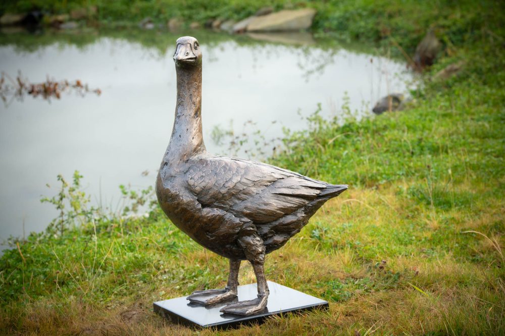 vid 'Standing Goose 'Grace', Bronze Goose, Goose Sculpture, Goose Statue, Bronze Resin, Tanya Russell Sculptures-10