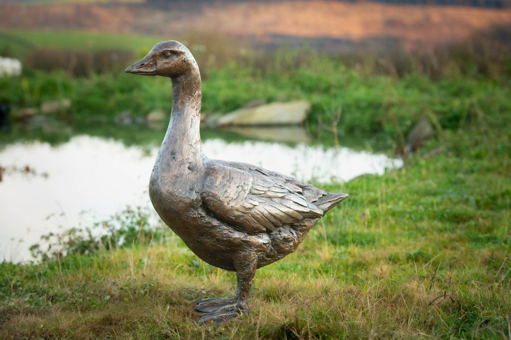 vid 'Standing Goose 'Grace', Bronze Goose, Goose Sculpture, Goose Statue, Bronze Resin, Tanya Russell Sculptures-6
