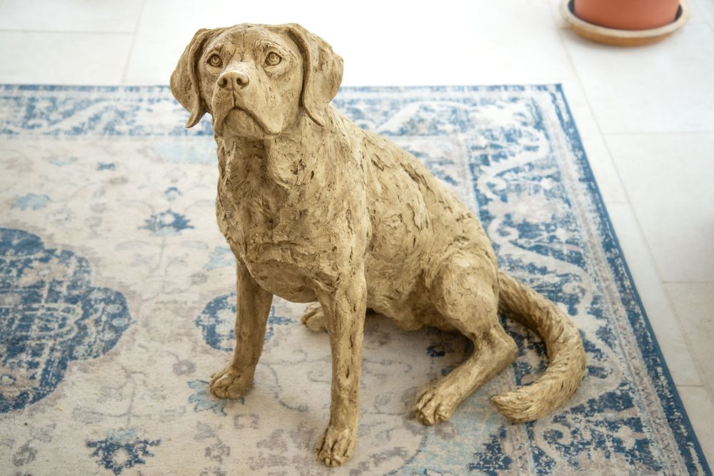 1 'Labrador Looking Up', Dog Sculpture, Dog Statue, Stone Bronze Resin, Tanya Russell Animal Sculptures-9