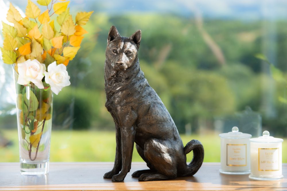 1 'Sitting Jindo', Dog Sculpture, Dog Statue, Bronze Resin, Tanya Russell Animal Sculptures (8 of 9)