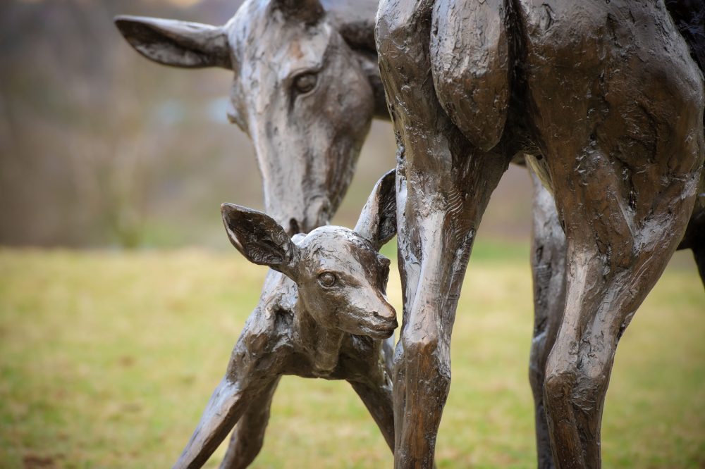 11-Doe and Fawn-, Bronze Deer, Deer Sculpture, Deer Statue, Bronze Resin, Tanya Russell Sculpturess-36