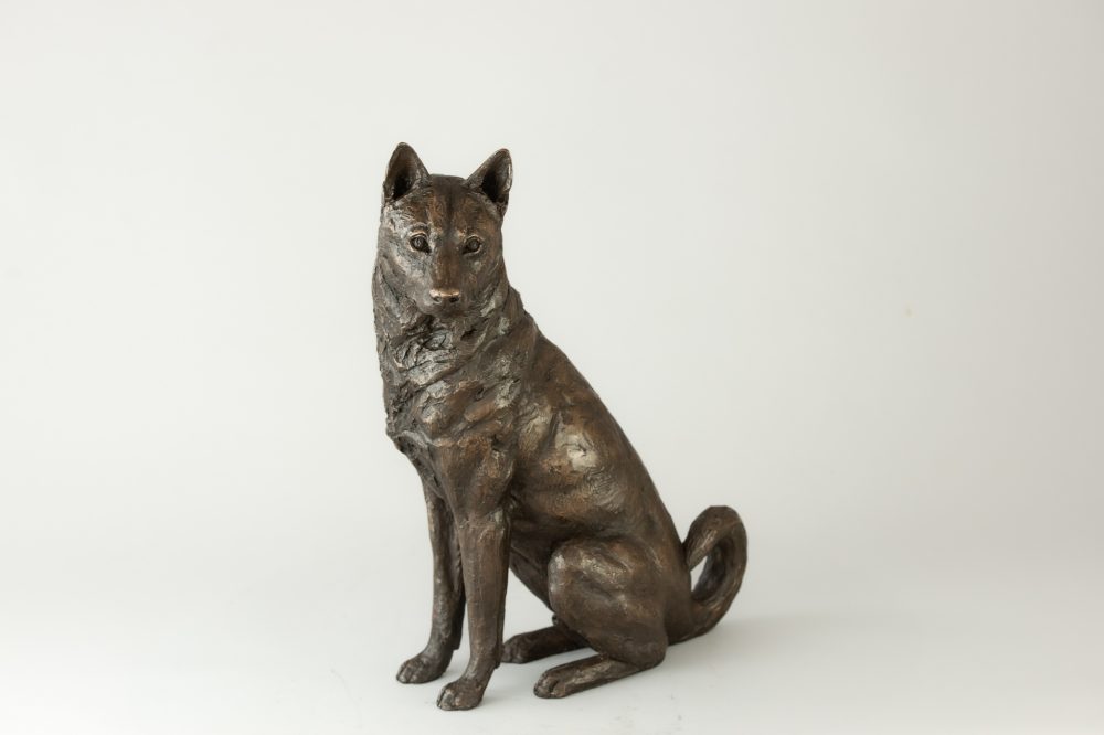 2 'Sitting Jindo', Dog Sculpture, Dog Statue, Bronze Resin, Tanya Russell Animal Sculptures (6 of 9)