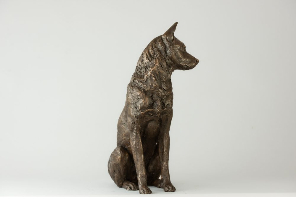 3 'Sitting Jindo', Dog Sculpture, Dog Statue, Bronze Resin, Tanya Russell Animal Sculptures (5 of 9)