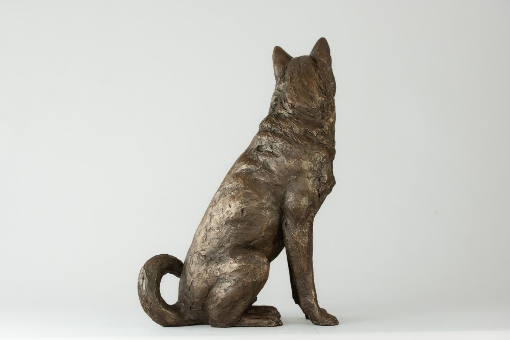 4 'Sitting Jindo', Dog Sculpture, Dog Statue, Bronze Resin, Tanya Russell Animal Sculptures (4 of 9)