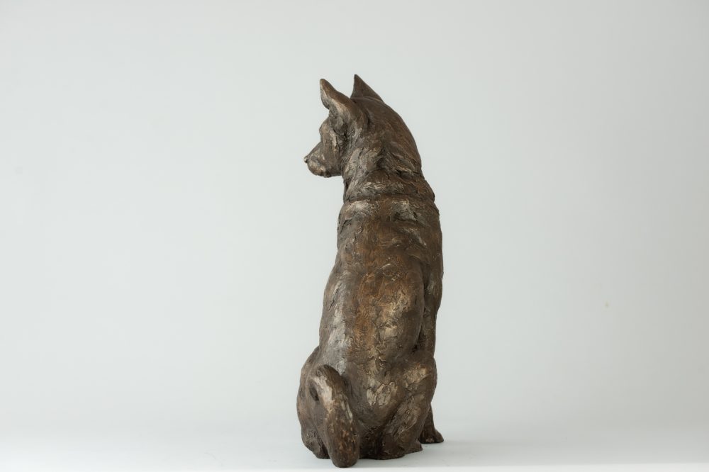 5 'Sitting Jindo', Dog Sculpture, Dog Statue, Bronze Resin, Tanya Russell Animal Sculptures (3 of 9)