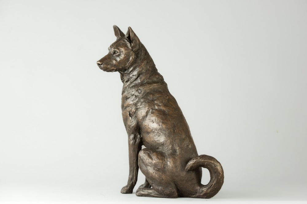 6 'Sitting Jindo', Dog Sculpture, Dog Statue, Bronze Resin, Tanya Russell Animal Sculptures (2 of 9)