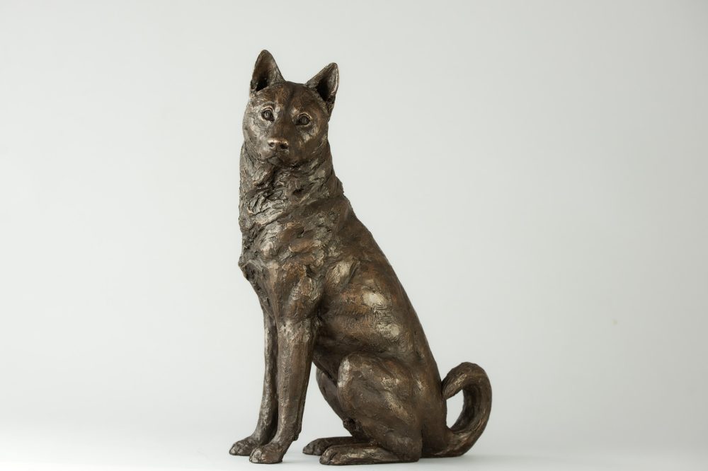 7 'Sitting Jindo', Dog Sculpture, Dog Statue, Bronze Resin, Tanya Russell Animal Sculptures (1 of 9)