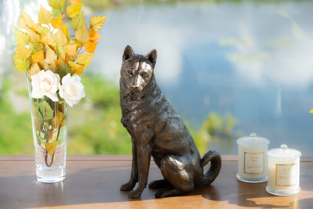 8 'Sitting Jindo', Dog Sculpture, Dog Statue, Bronze Resin, Tanya Russell Animal Sculptures (9 of 9)