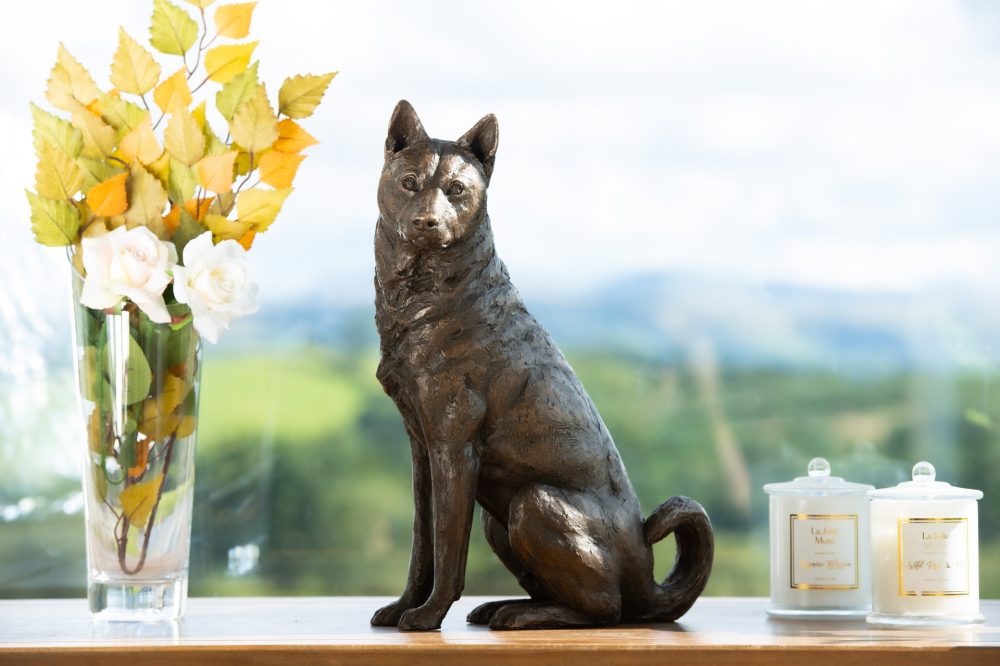 9 'Sitting Jindo', Dog Sculpture, Dog Statue, Bronze Resin, Tanya Russell Animal Sculptures (7 of 9)