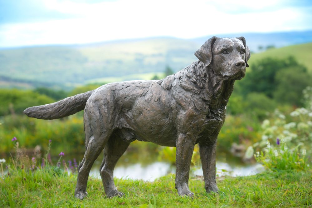 1 'Labrador Buck', Dog Sculpture, Bronze Cat, Bronze Resin, Tanya Russell Animal Sculptures-12