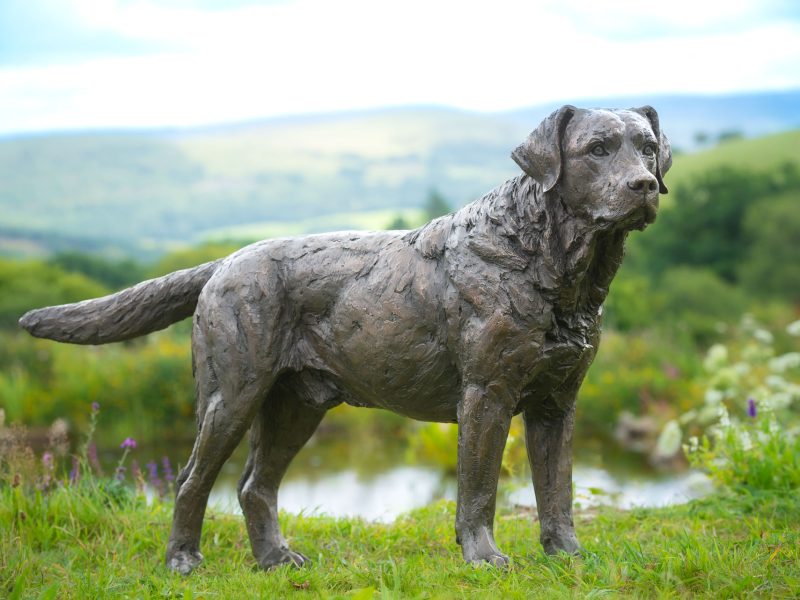 STANDING LABRADOR 2 SCULPTURE