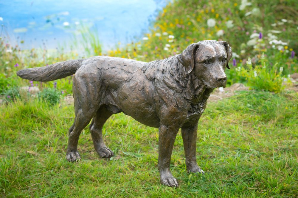 10 'Labrador Buck', Dog Sculpture, Bronze Cat, Bronze Resin, Tanya Russell Animal Sculptures-15