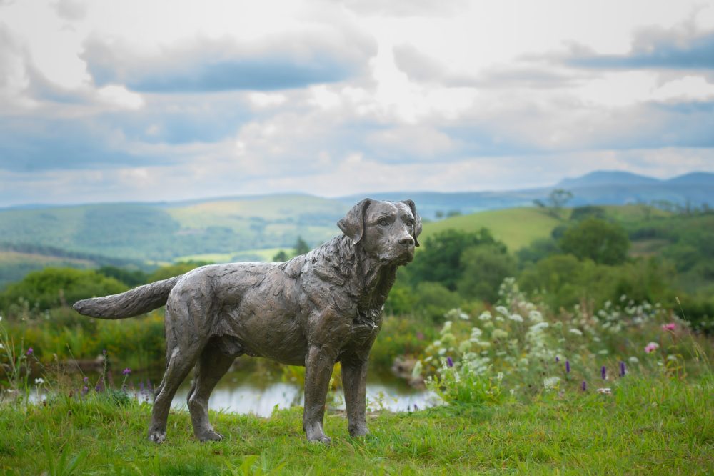 12 'Labrador Buck', Dog Sculpture, Bronze Cat, Bronze Resin, Tanya Russell Animal Sculptures-13