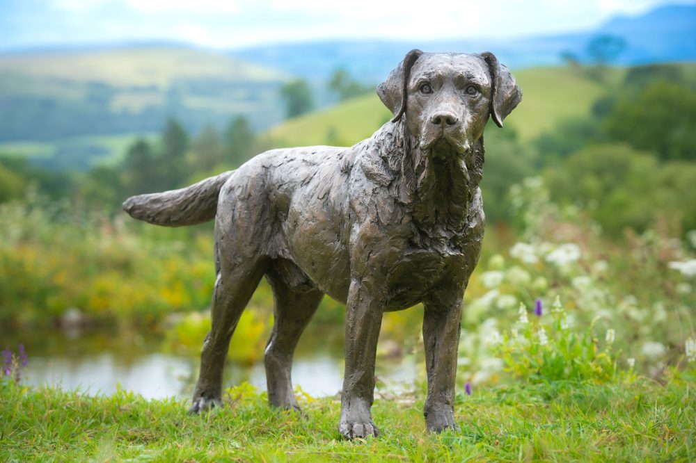 3 'Labrador Buck', Dog Sculpture, Bronze Cat, Bronze Resin, Tanya Russell Animal Sculptures-3