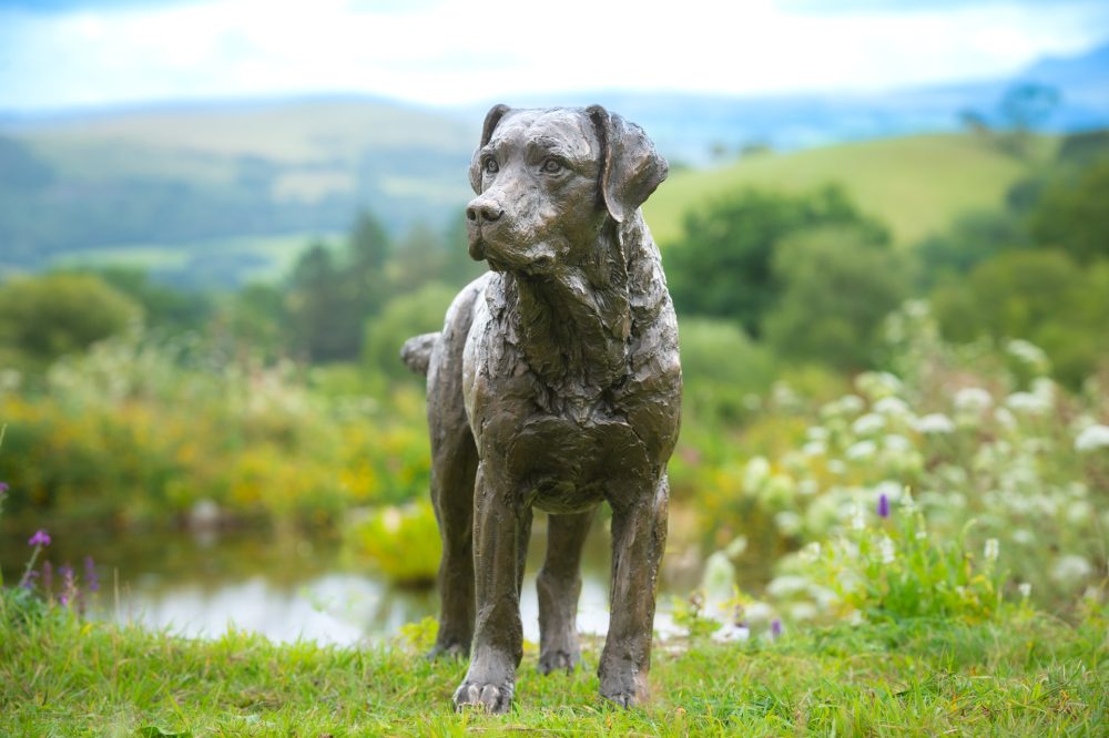4 'Labrador Buck', Dog Sculpture, Bronze Cat, Bronze Resin, Tanya Russell Animal Sculptures-4