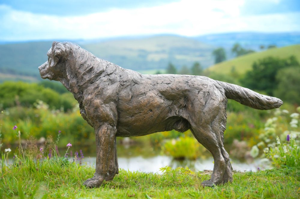5 'Labrador Buck', Dog Sculpture, Bronze Cat, Bronze Resin, Tanya Russell Animal Sculptures-7