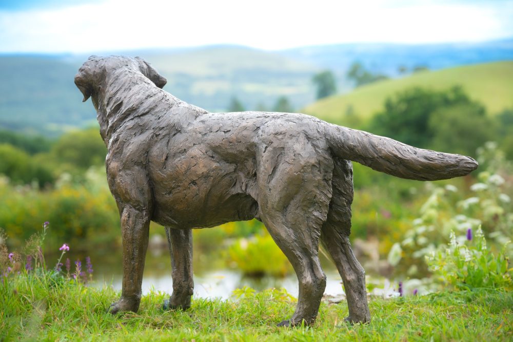 6 'Labrador Buck', Dog Sculpture, Bronze Cat, Bronze Resin, Tanya Russell Animal Sculptures-8