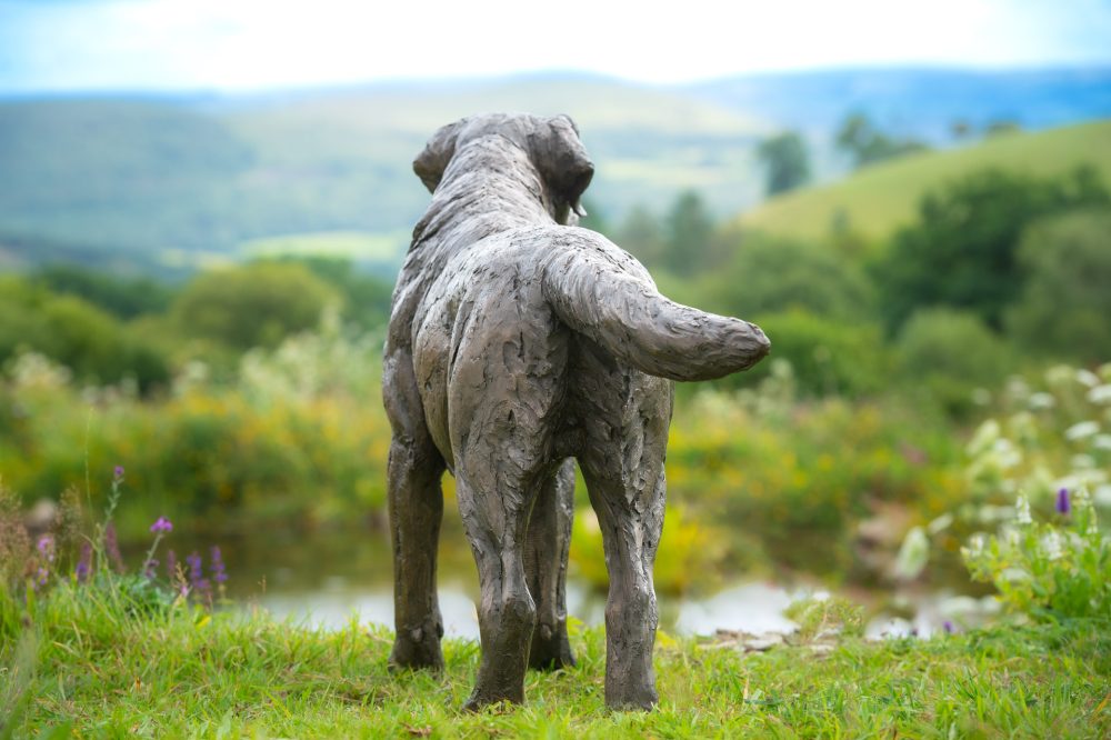 7 'Labrador Buck', Dog Sculpture, Bronze Cat, Bronze Resin, Tanya Russell Animal Sculptures-9