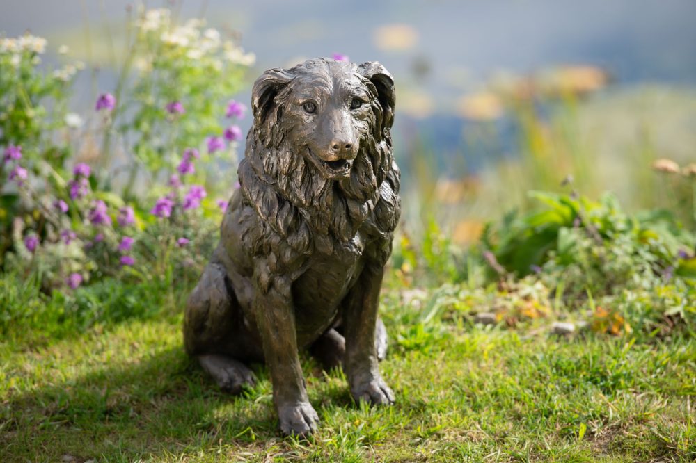 1 'Sitting Border Collie', Dog Sculpture, Bronze Dog, Bronze Resin, Tanya Russell Animal Sculptures-6