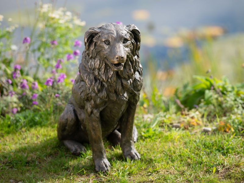 SITTING BORDER COLLIE 2 SCULPTURE