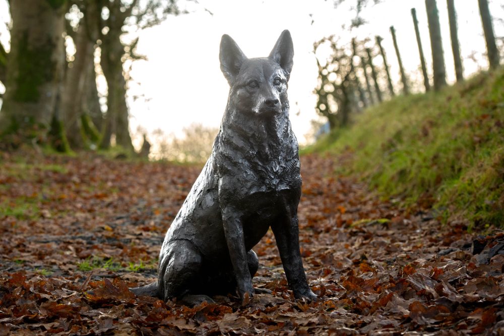 1 'Sitting Mixed Breed', Dog Sculpture, Bronze Dog, Foundry Bronze Metal, Tanya Russell Animal Sculptures-7