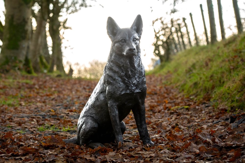 1 'Sitting Mixed Breed', Dog Sculpture, Bronze Dog, Foundry Bronze Metal, Tanya Russell Animal Sculptures-7