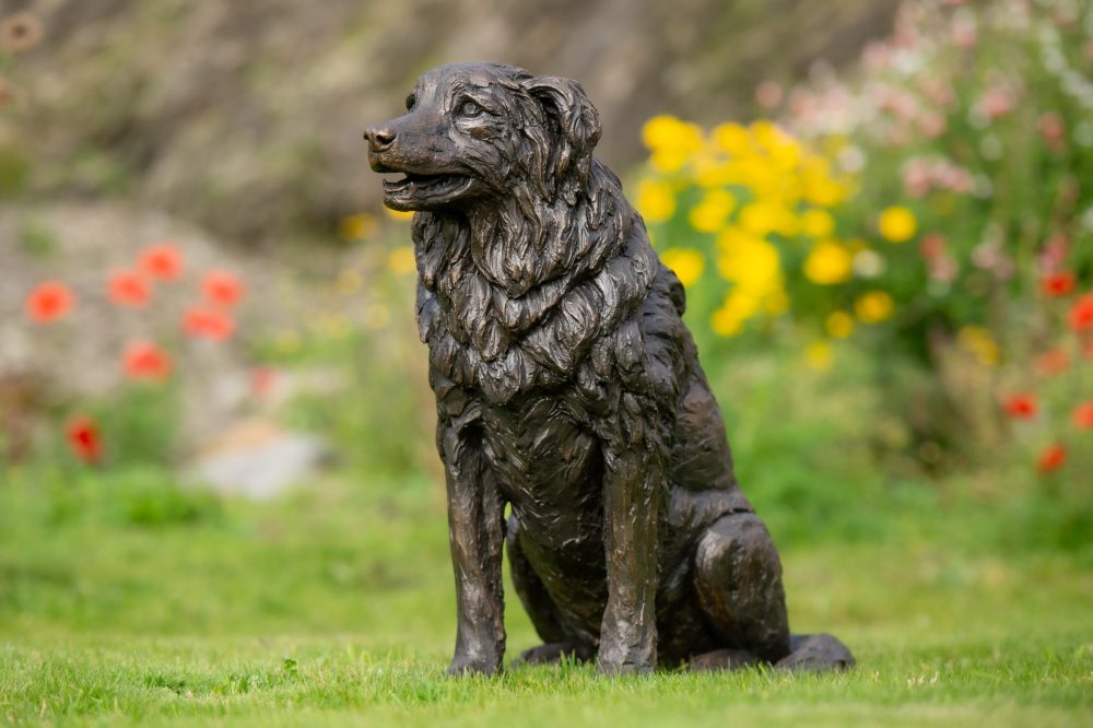 10 'Sitting Border Collie', Dog Sculpture, Bronze Dog, Bronze Resin, Tanya Russell Animal Sculptures-3