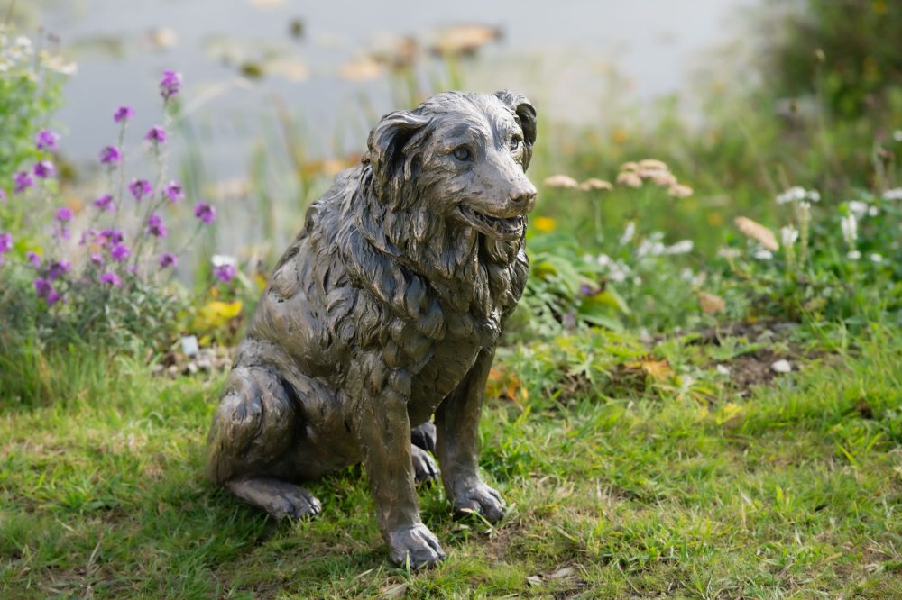 11 'Sitting Border Collie', Dog Sculpture, Bronze Dog, Bronze Resin, Tanya Russell Animal Sculptures-15